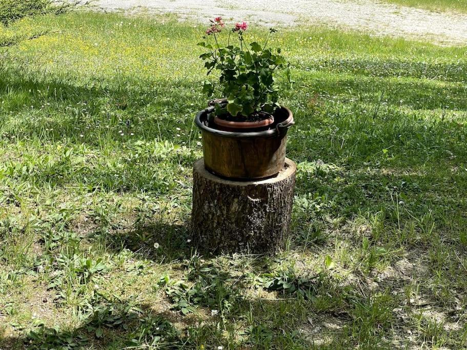 Casa Rifugio Olivieri Holiday home *